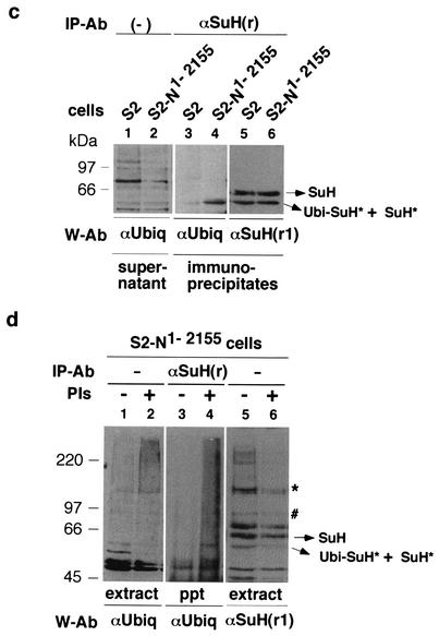 FIG. 8.