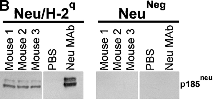 Figure 9.