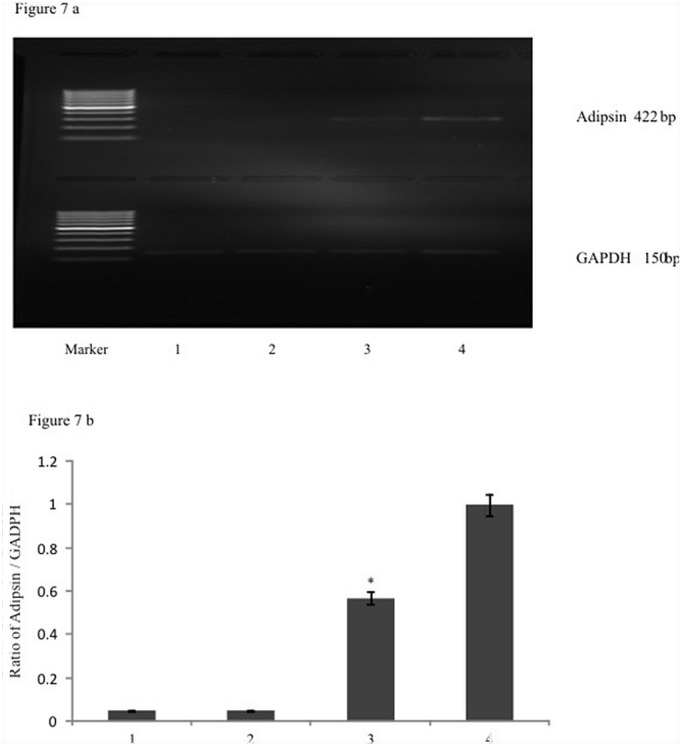 Figure 7: