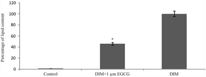 Figure 6: