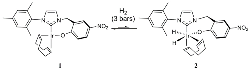 Scheme 2