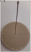 Figure 19