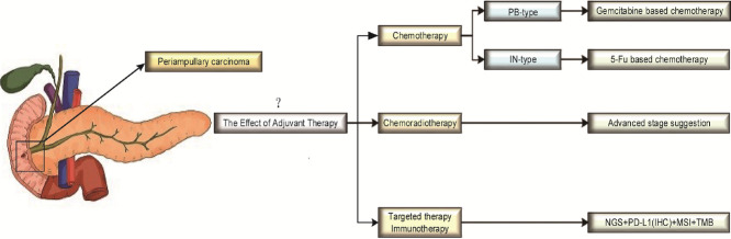 Image, graphical abstract