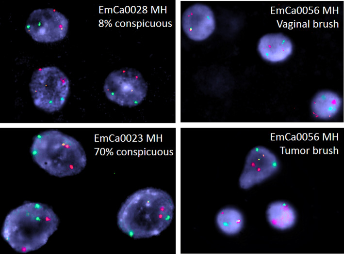 FIGURE 3