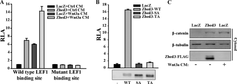 FIGURE 3.