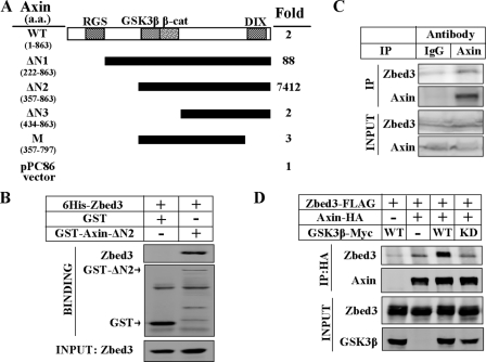 FIGURE 1.