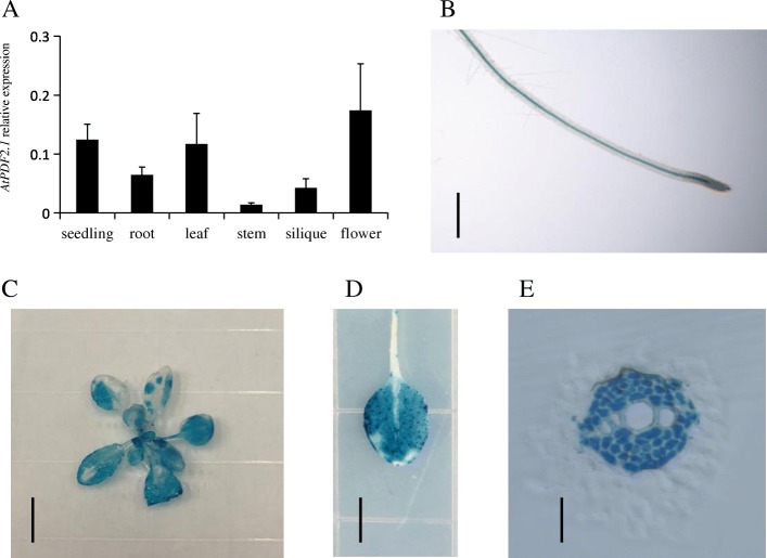 Fig. 3