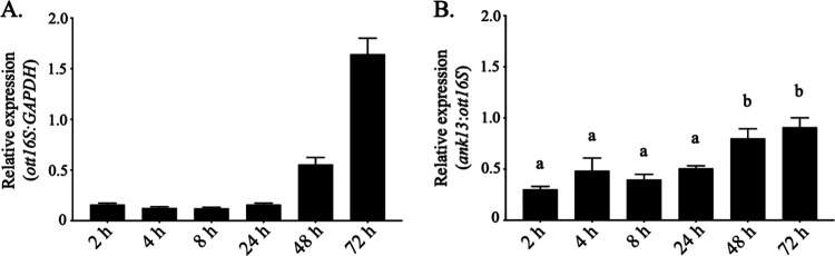 FIG 2