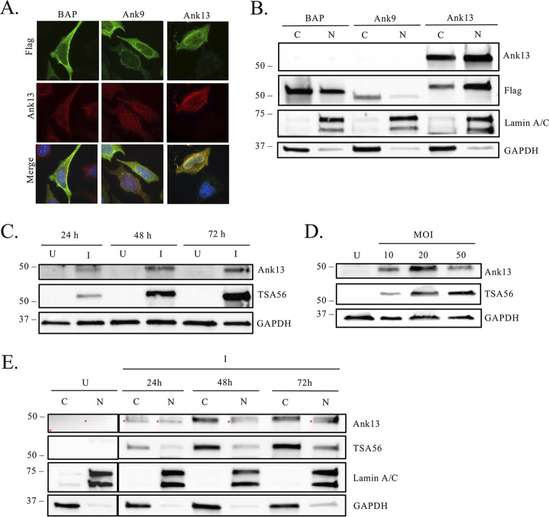 FIG 3