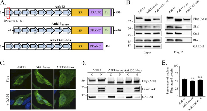 FIG 4