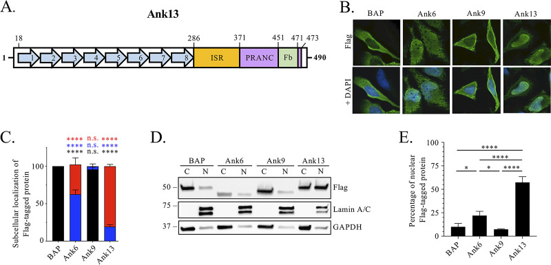 FIG 1