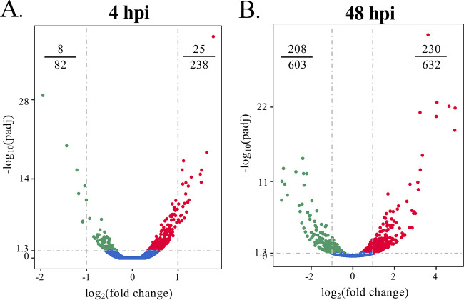 FIG 11