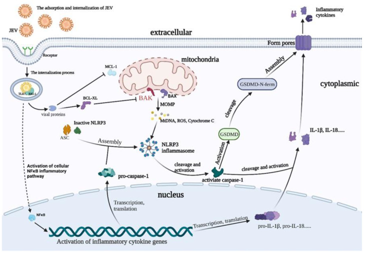 Figure 6