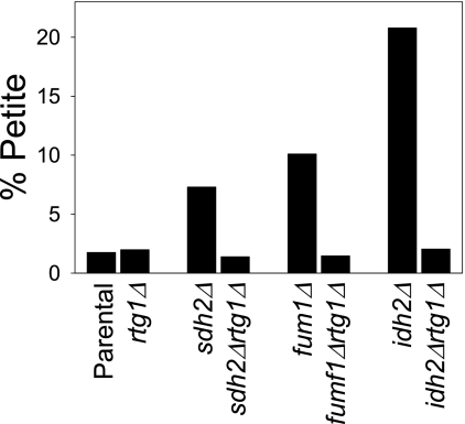 FIGURE 10.