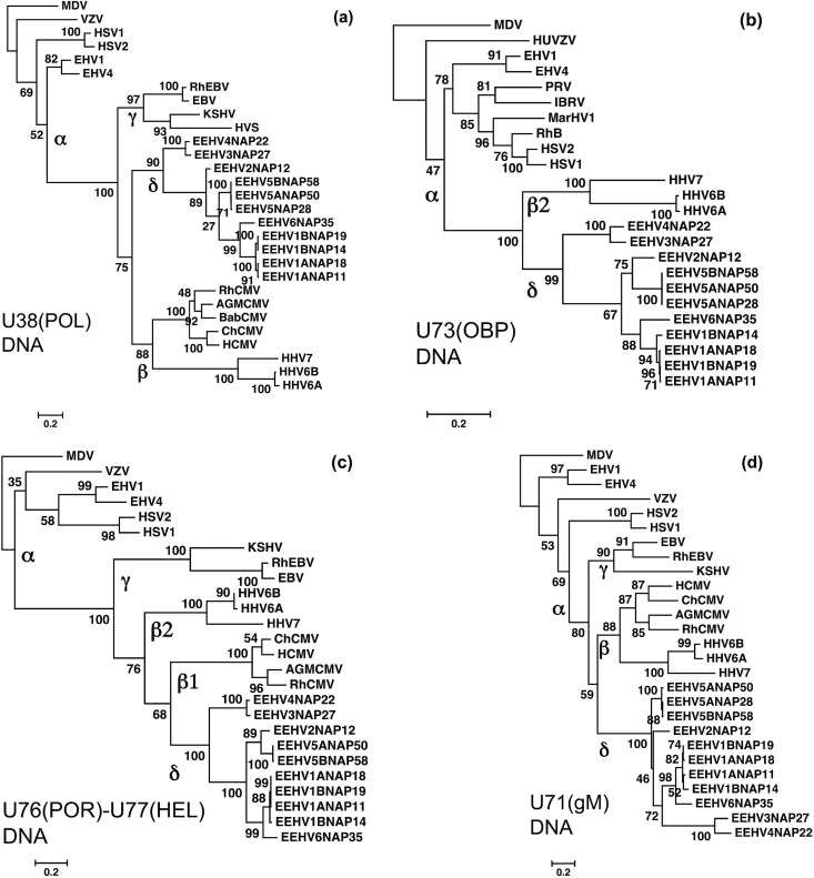 FIG 6