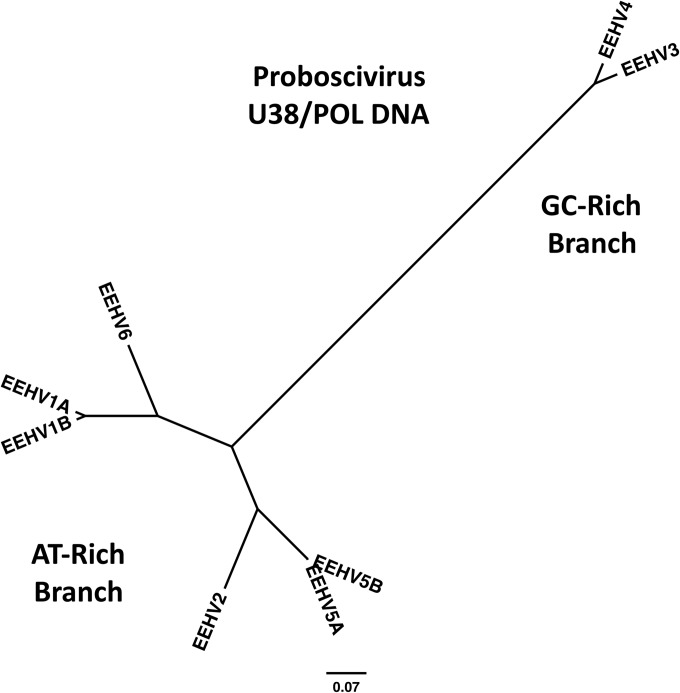 FIG 2