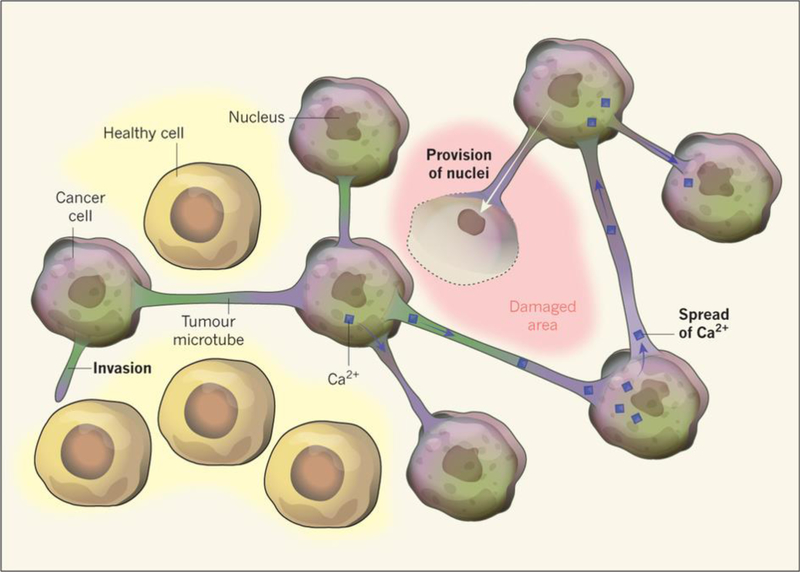 Figure 4: