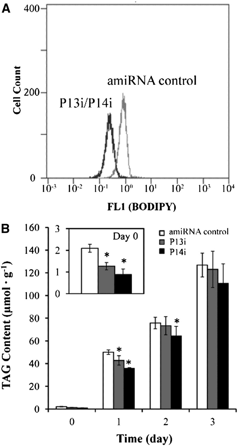 Figure 10.