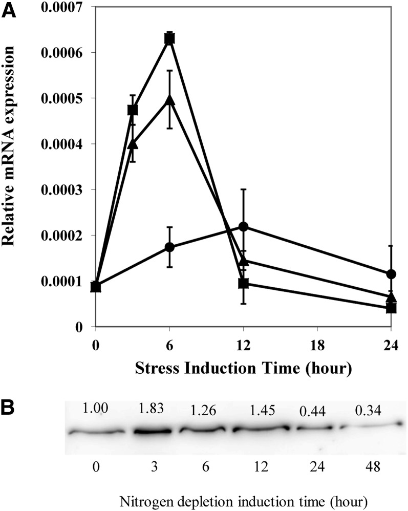 Figure 7.