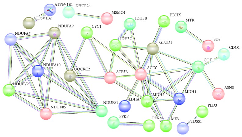 Figure 4