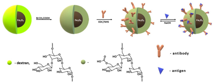 Figure 24