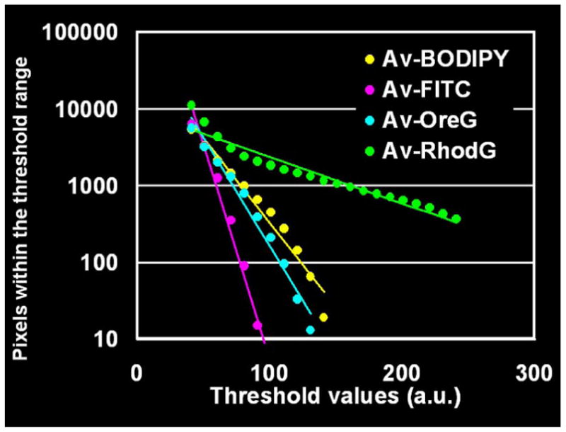 Figure 6