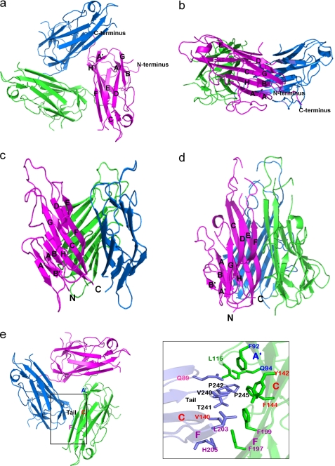 FIGURE 2.