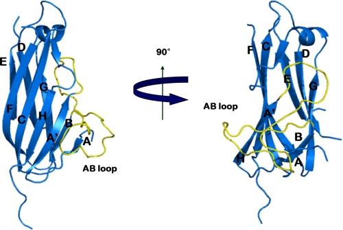 FIGURE 1.