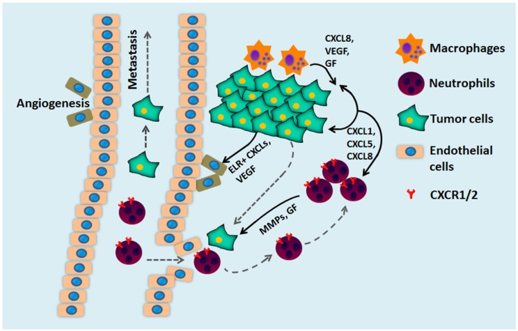 Figure 11