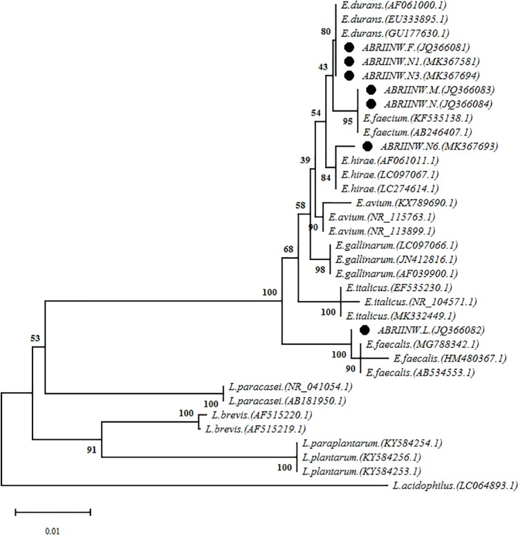 FIGURE 2