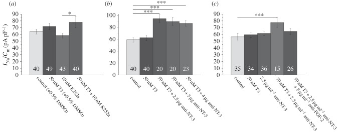 Figure 2.