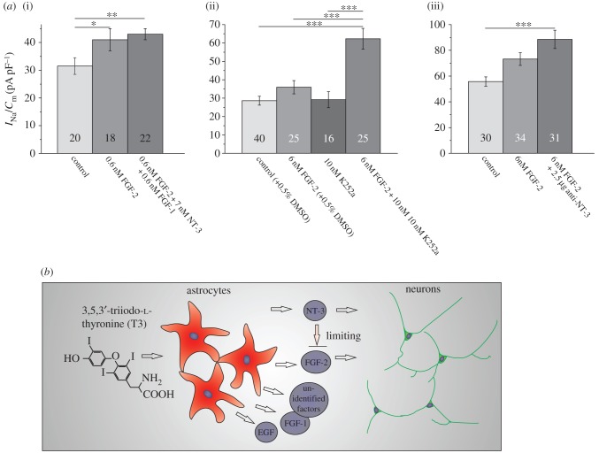 Figure 3.