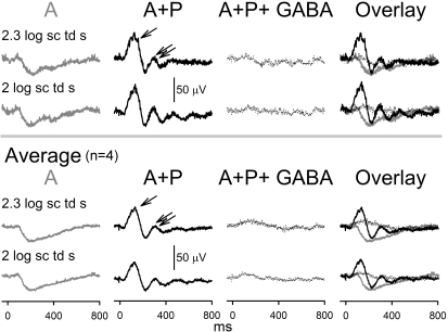 Figure 5.