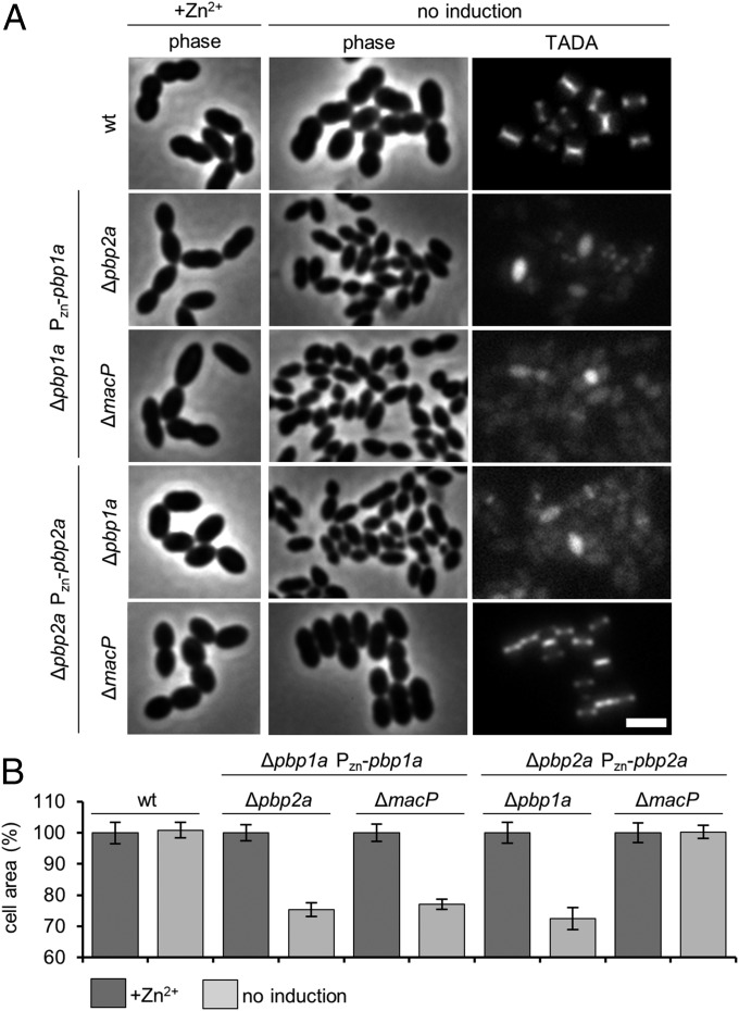 Fig. 2.