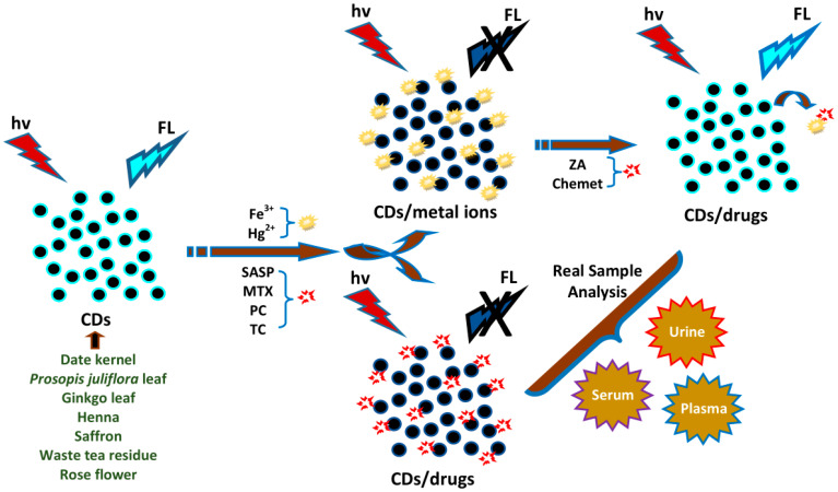 Figure 13