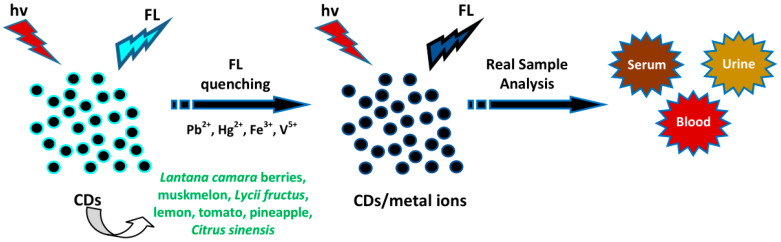 Figure 12