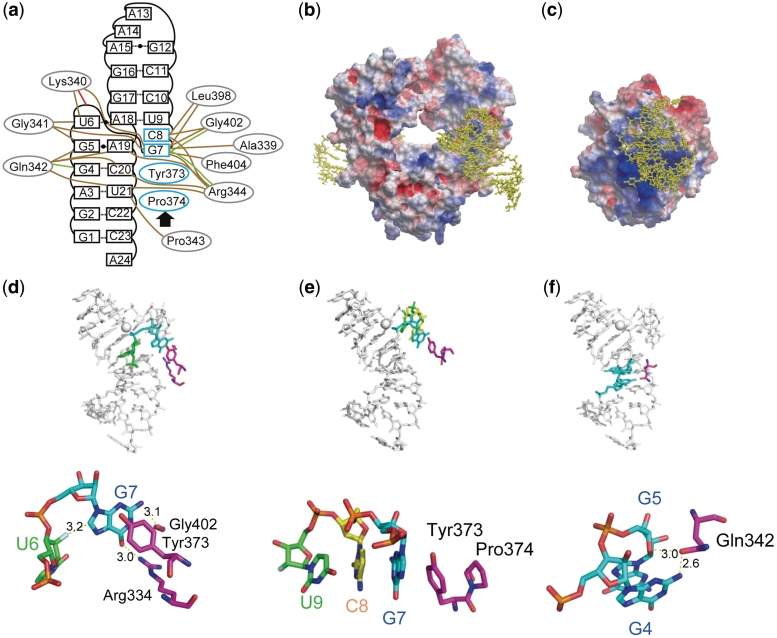 Figure 4.