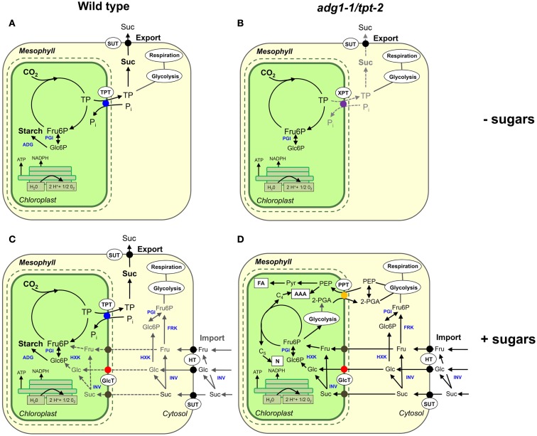 Figure 9