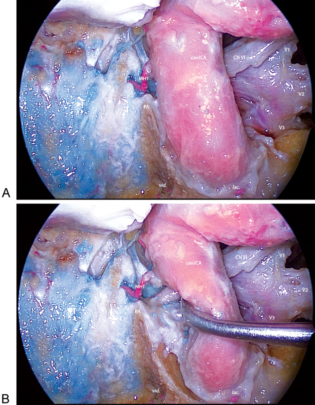 Fig. 8