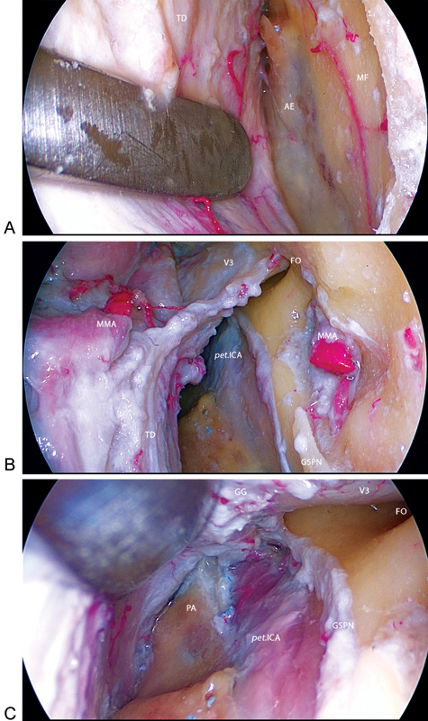 Fig. 5