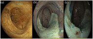 Figure 2.