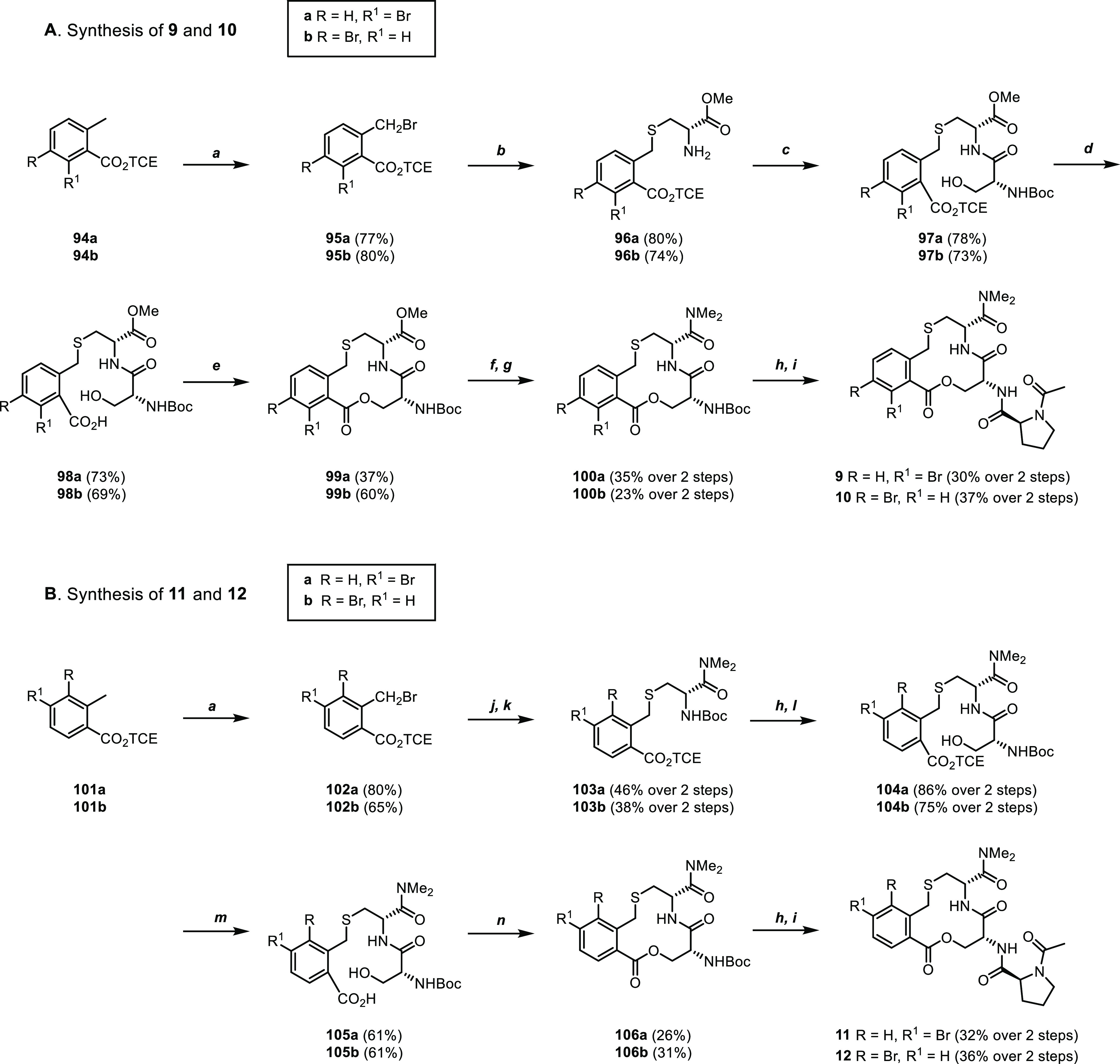 Scheme 3