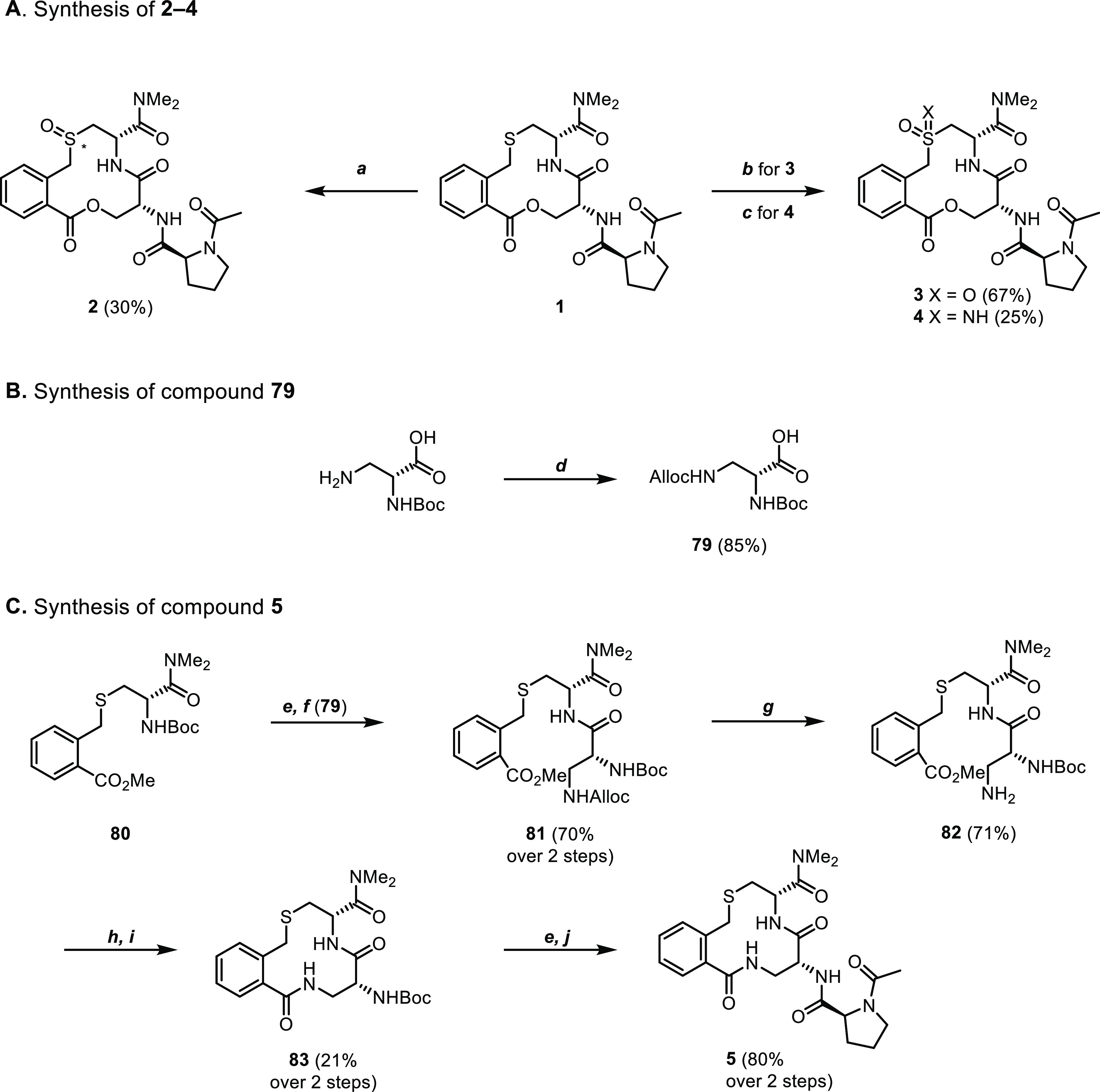 Scheme 1