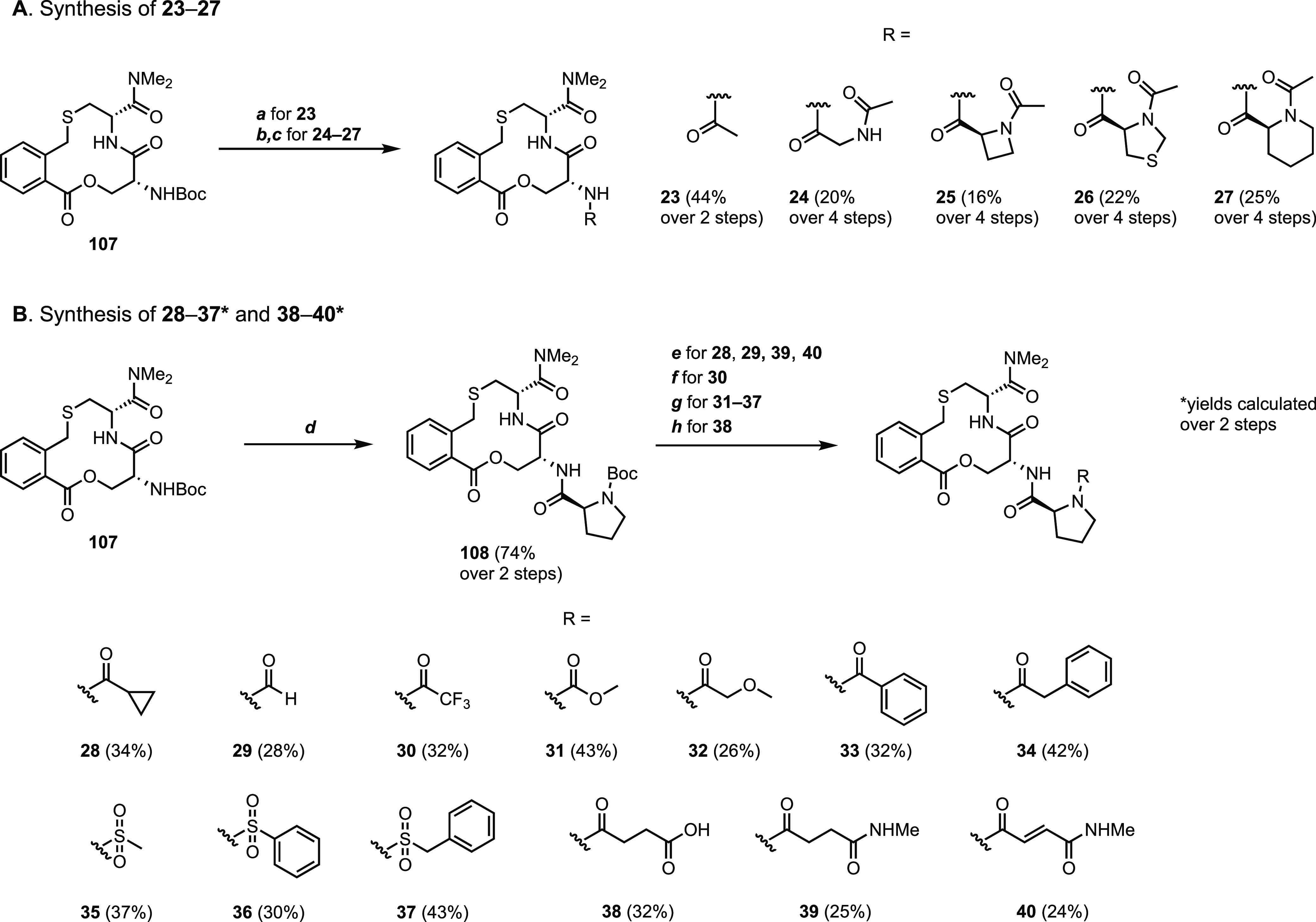 Scheme 5