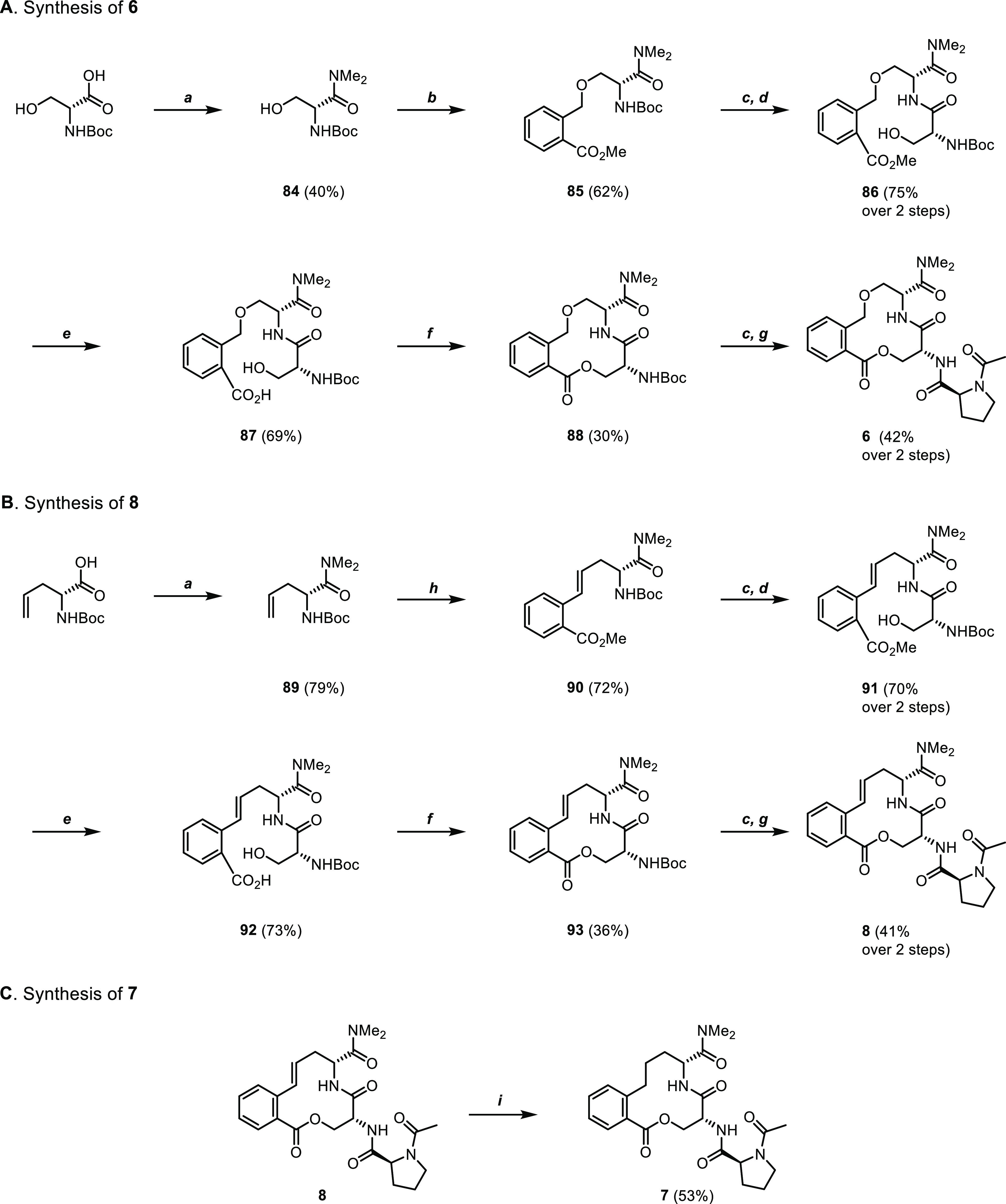 Scheme 2