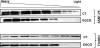 Fig. 8.