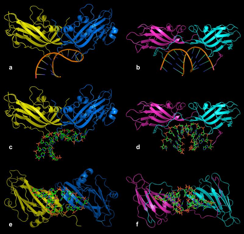 Fig. 10