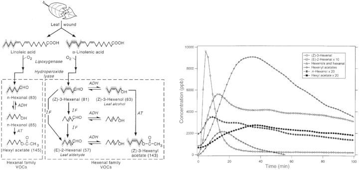 Fig. 10