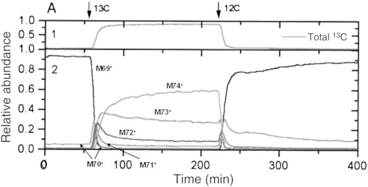 Fig. 9