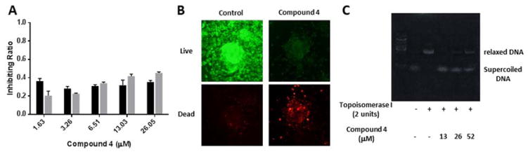 Figure 4